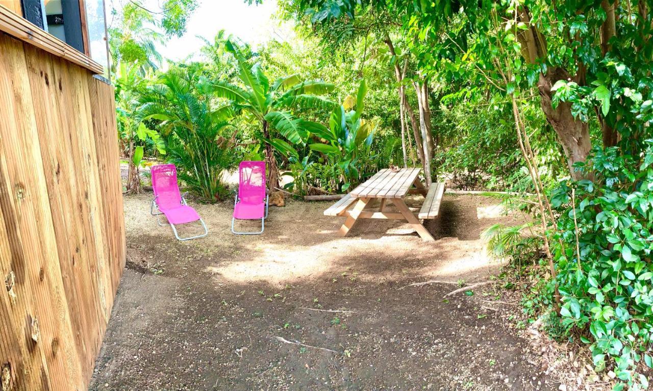 Lodge Colibris Piscine Privee Vue Panoramique Mer Et Montagne Pelee , 500 M Plage Dans Un Parc , Calme Assure Ideal Pour Decouvrir Le Nord Caraibes Le Carbet Eksteriør billede