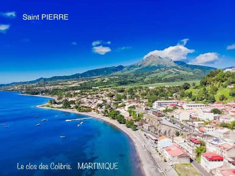 Lodge Colibris Piscine Privee Vue Panoramique Mer Et Montagne Pelee , 500 M Plage Dans Un Parc , Calme Assure Ideal Pour Decouvrir Le Nord Caraibes Le Carbet Eksteriør billede